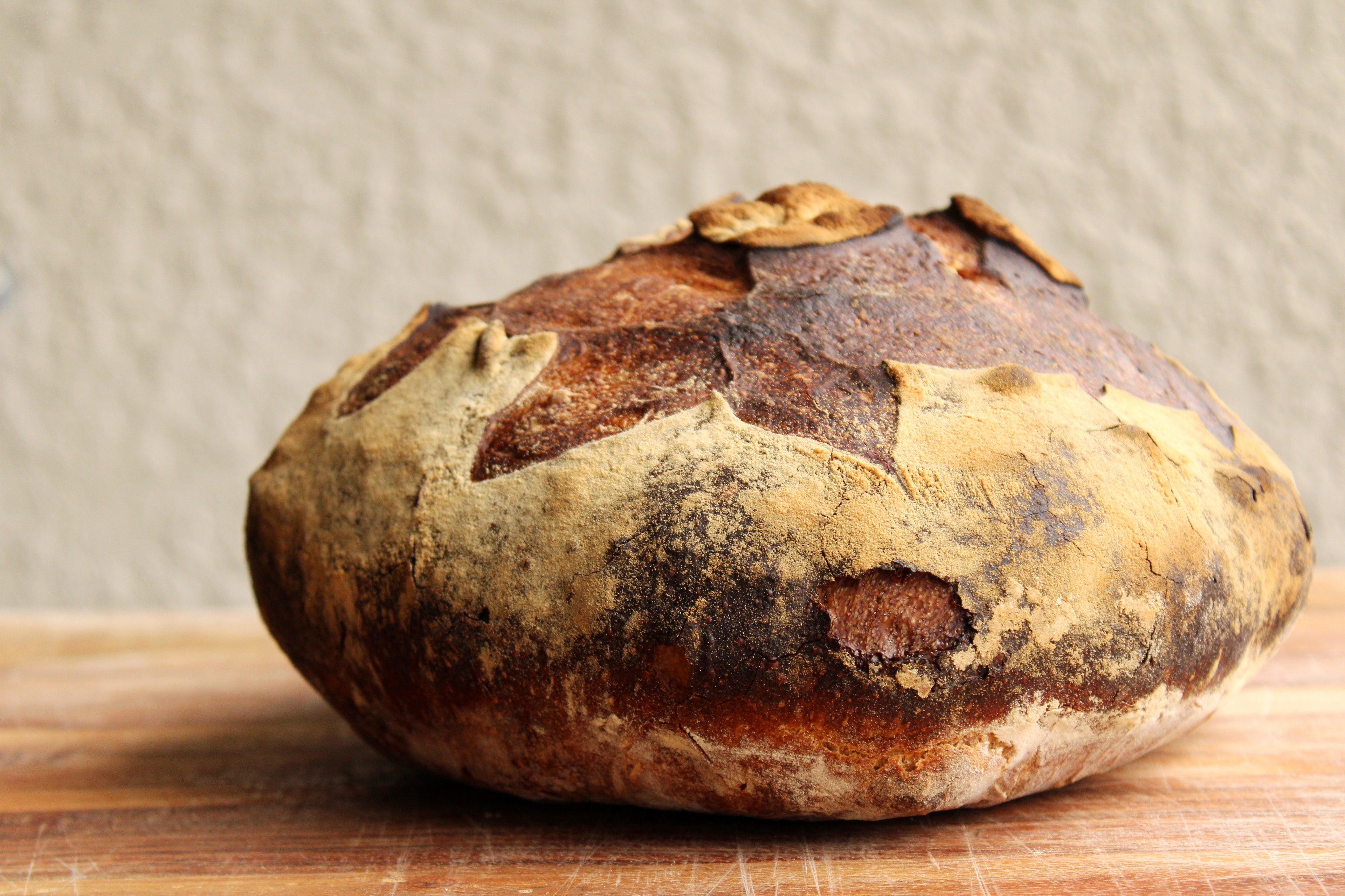 Rosemary Boule